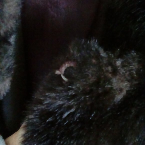 Women's brown, faux mink fur lined jacket - Picture 6 of 6